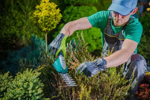 landscaping services Akron